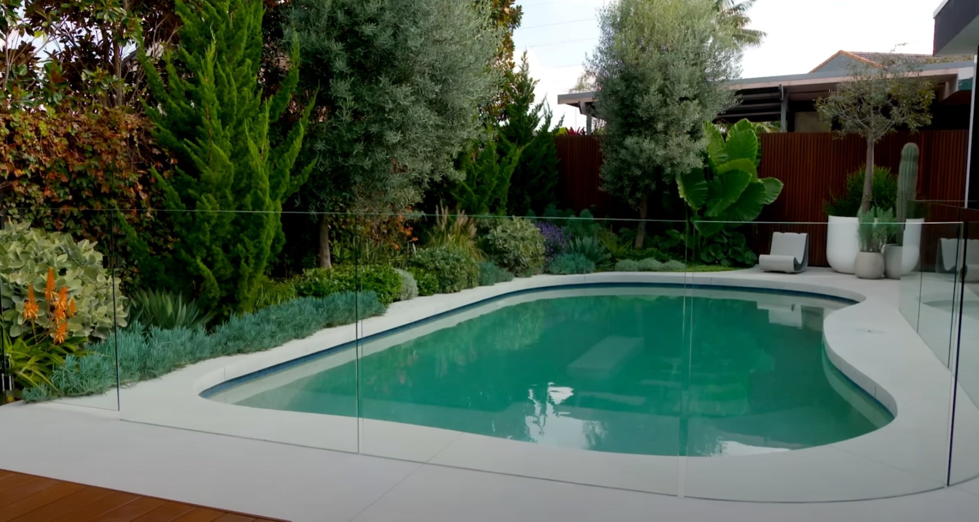 Contemporary Pool Landscaping Modern backyard pool area with glass fencing, diverse plantings, and contemporary design