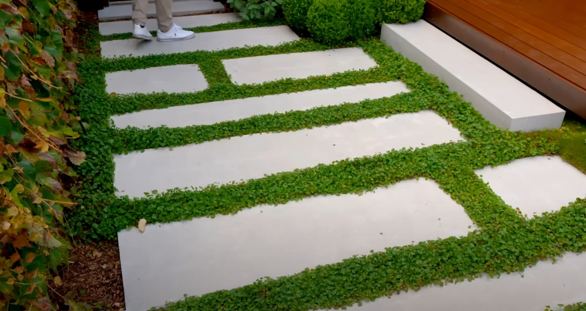 Modern Walkway & Paver Installation Modern walkway design with concrete pavers and green groundcover landscaping